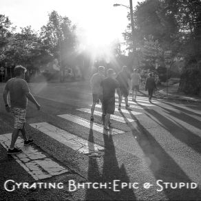 Epic & Stupid album cover
