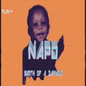 Birth Of A Savage album cover