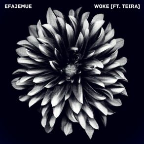 Woke album cover