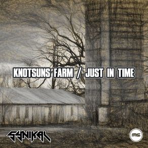 Synikal / Knotsuns Farm album cover