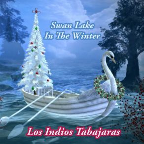 Swan Lake In The Winter album cover