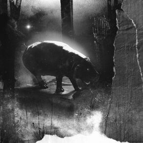 The Descent (Maxi-Single) album cover