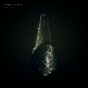 Nautilus album cover