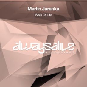 Walk Of Life (Maxi-Single) album cover