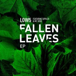 Fallen Leaves (Maxi-Single) album cover
