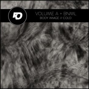 Body Image / / Cold (Maxi-Single) album cover