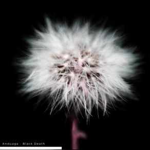 Black Death (Original Mix) album cover