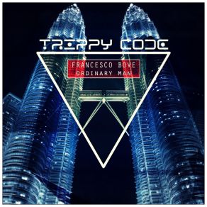 Ordinary Man album cover