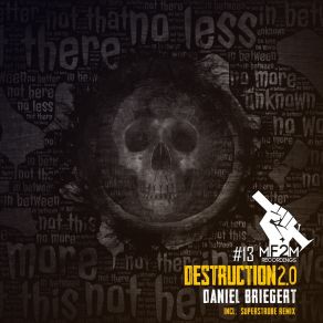 Destruction 2.0 album cover