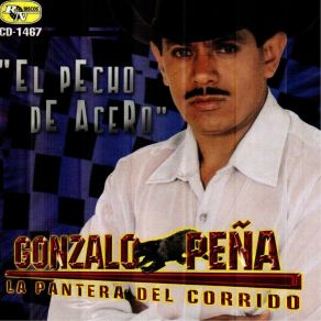 El Pecho De Acero album cover