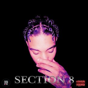 Section 8 album cover