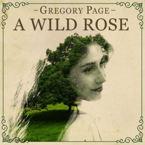 A Wild Rose album cover
