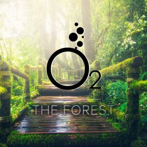 The Forest album cover