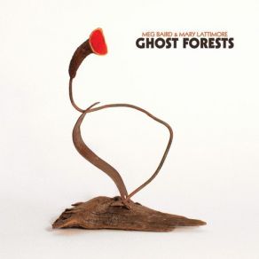 Ghost Forests album cover