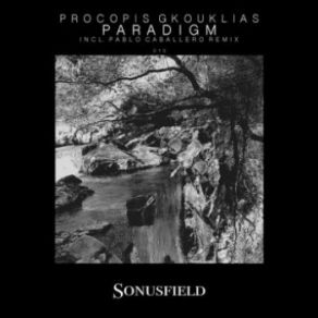 Paradigm (Maxi-Single) album cover
