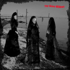 The Wave Widows album cover