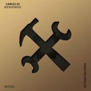 Bienvenido album cover
