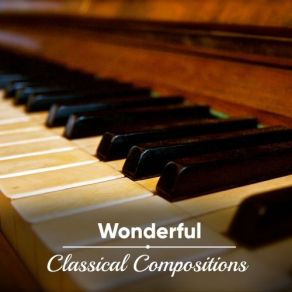 # 12 Wonderful Classical Compositions album cover