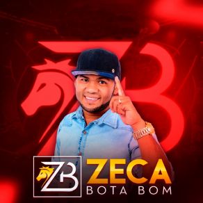 Zeca Bota Bom album cover