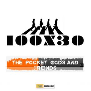 100BeatlesX30 album cover