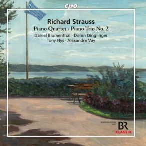 Strauss: Piano Quartet In C Major, Op. 13, TrV 137 & Piano Trio No. 2 In D Major, TrV 71 album cover