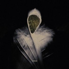 Black Fire Devastator (Maxi-Single) album cover