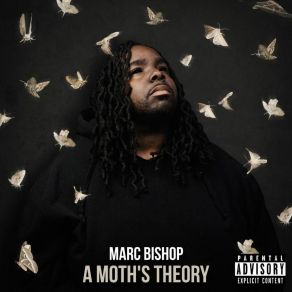 A Moth's Theory album cover
