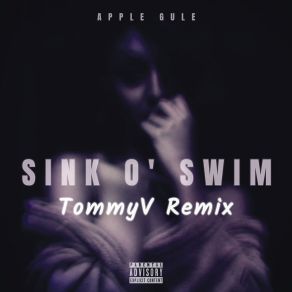 Sink O' Swim (TommyV Remix) album cover