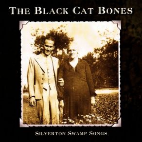 Silverton Swamp Songs album cover