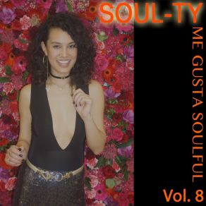 Me Gusta Soulful, Vol. 8 album cover