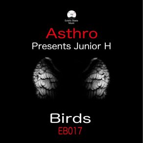 Birds album cover