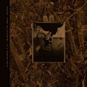 Come On Pilgrim... It's Surfer Rosa album cover