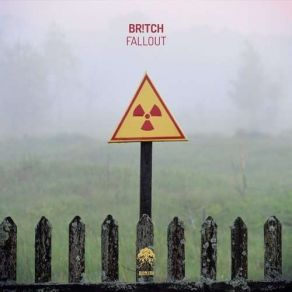 Fallout (Maxi-Single) album cover