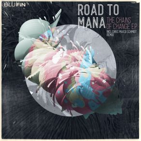 The Chains Of Change (Maxi-Single) album cover