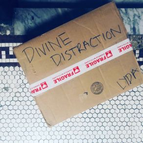 Divine Distraction album cover