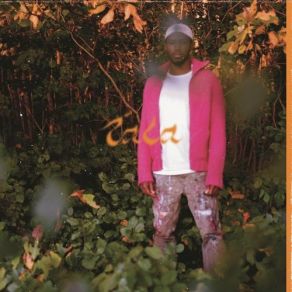 Tala album cover