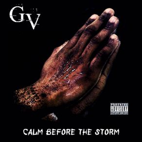 Calm Before The Storm album cover