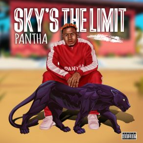 Sky's The Limit album cover