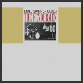 Mule Skinner Blues album cover