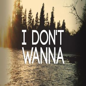 I Don't Wanna album cover