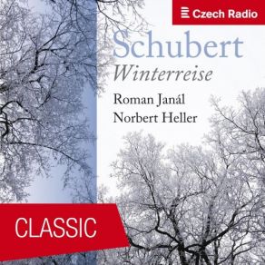 Franz Schubert: Winter Journey album cover