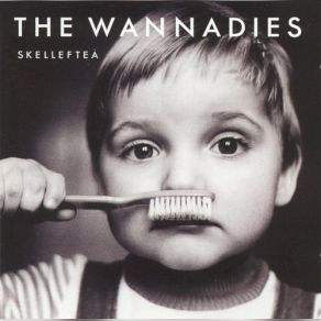 Skelleftea album cover