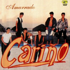 Grupo Cariño De Javier Lui album cover