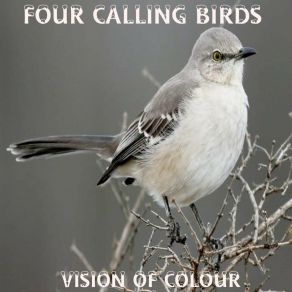 Four Calling Birds album cover