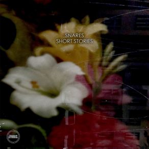 Short Stories # 3 album cover