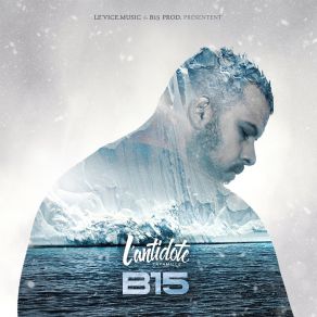 B15 album cover