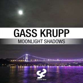 Moonlight Shadows album cover