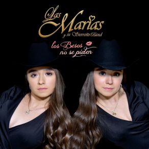 Los Besos No Se Piden album cover