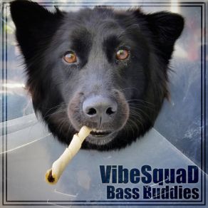 Bass Buddies album cover