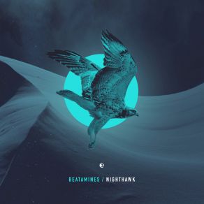 Nighthawk (Maxi-Single) album cover